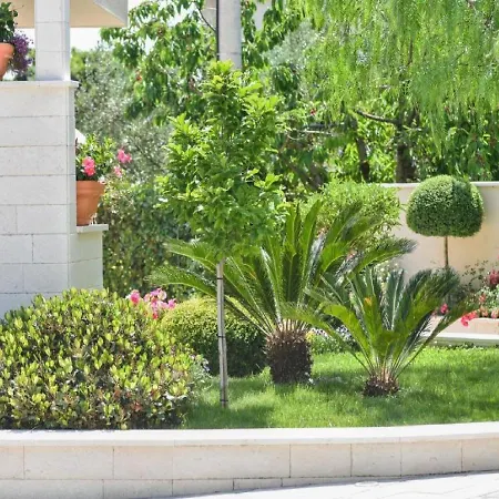 Calypso Royal شقة زادار