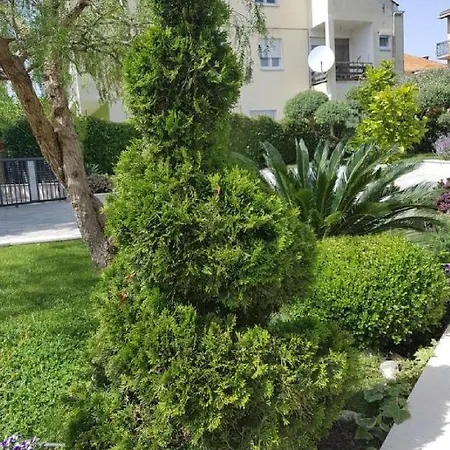 Calypso Royal * Zadar